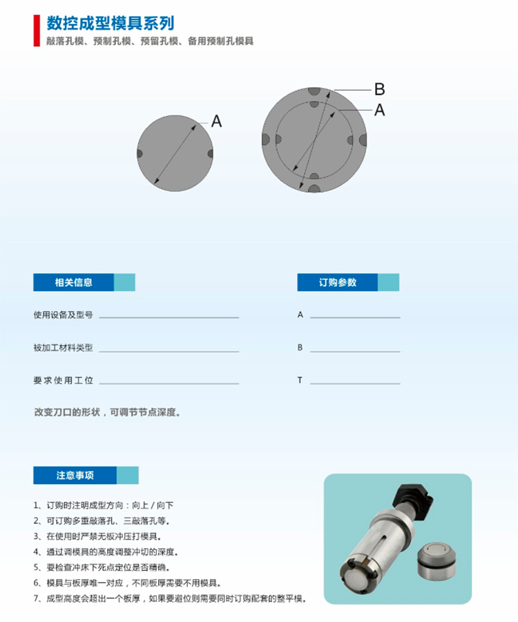 敲落孔模數(shù)控沖床模具